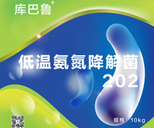 庫巴魯?shù)蜏匕钡到饩?02—硝化細(xì)菌